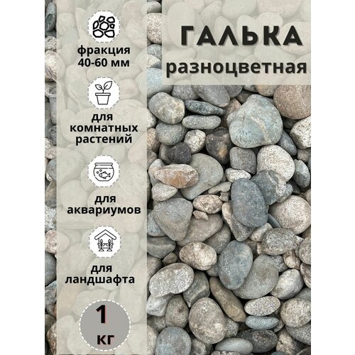 Галька разноцветная(пестрая) 40-60мм (1кг) Грунт для аквариума/террариума фотография