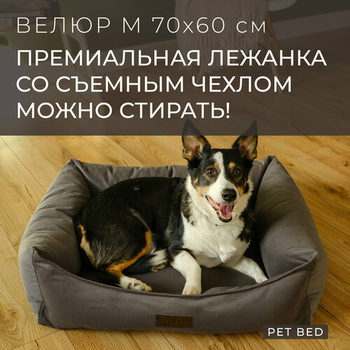 Лежанка для собак средних пород со съемным чехлом PET BED Велюр, размер M 70х60 см, темно-серая фотография