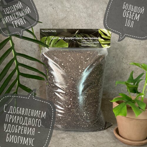 Готовый грунт 10 литров для комнатных растений и питательная земля Terracotta Plants на основе Биогумус. Земля для цветов и универсальный грунт фотография