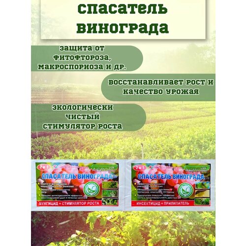 Инсектицидно-фунгицидный препарат Sumi-Agro 