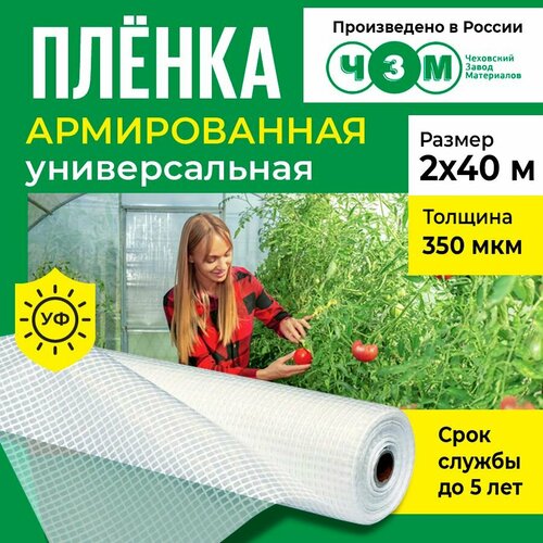 Пленка армированная универсальная 350 мкм, 2х40 м фотография