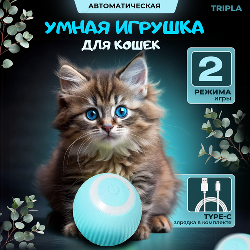 Игрушка для кошек, интерактивный мяч, дразнилка для котов, 2 режима, зарядка USB в комплекте (голубой цвет) фотография