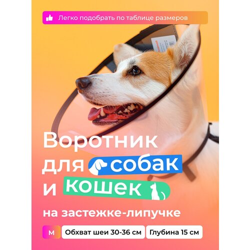 Воротник защитный ветеринарный для собак и кошек № 15 см, на липучке / AniMall фотография