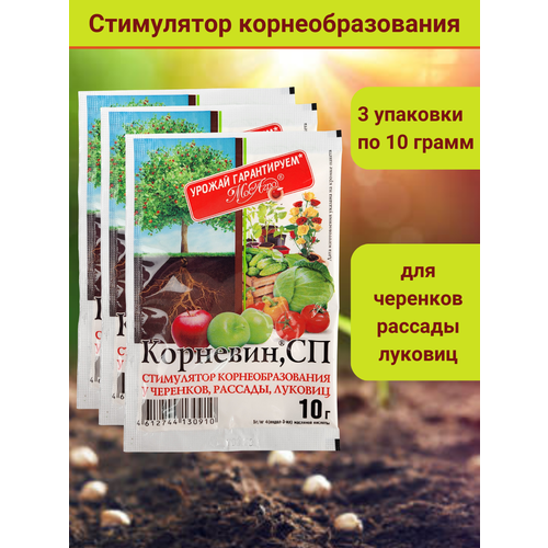 Корневин, стимулятор образования и роста корней, в комплекте 3 упаковки по 10 г. фотография