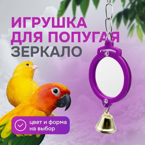 Игрушка для попугаев и птиц - зеркало фотография