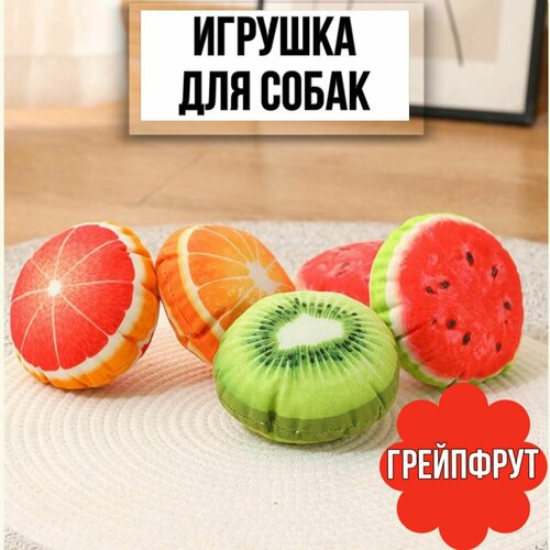 Игрушка пищалка для собак фрукты, грейпфрут, 1 шт. фотография