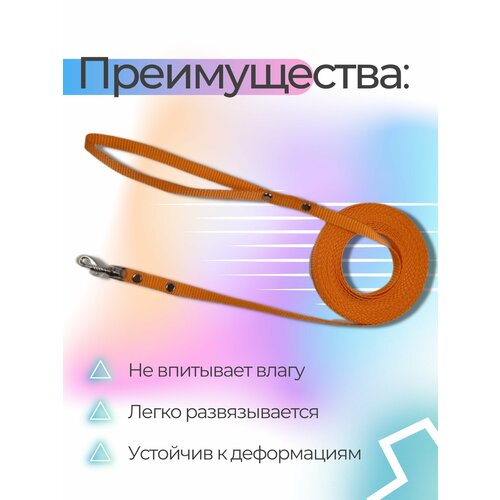 Поводок Хвостатыч для собак нейлоновый классический 3 м х 10 мм (оранжевый) фотография