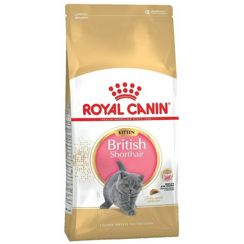 Корм сухой ROYAL CANIN British Kitten Shorthair для котят породы британской короткошерстной 400г 2 шт. фотография