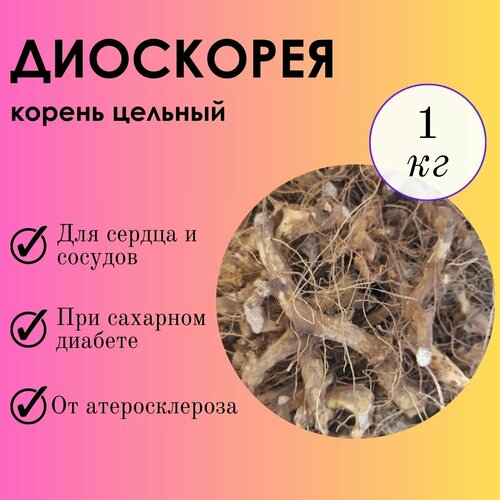 Диоскорея 