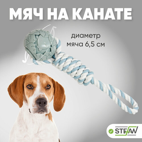 Игрушка для собак мяч на канате Комета STEFAN (Штефан), 6,5х6,5х32, голубой, TY5225 фотография