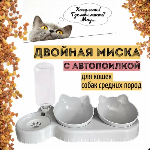 Двойная миска для кошек и собак, с автопоилкой, на подставке, для кормления, кормушка и поилка, для животных, пластиковая светло-серая фотография