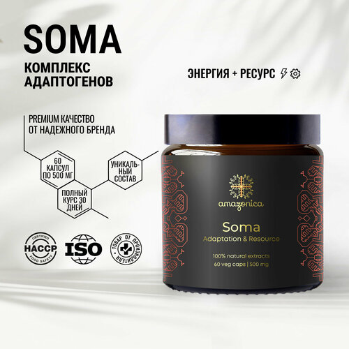 Soma Amazonica энергия и ресурс 60 капсул. Адаптогенный комплекс для увеличения уровня энергии и ресурсного состояния без кофеина. Ноотроп. Адаптоген. фотография