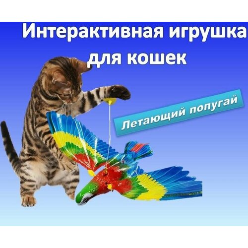 Интерактивная игрушка для кошек, подвесная птица фотография