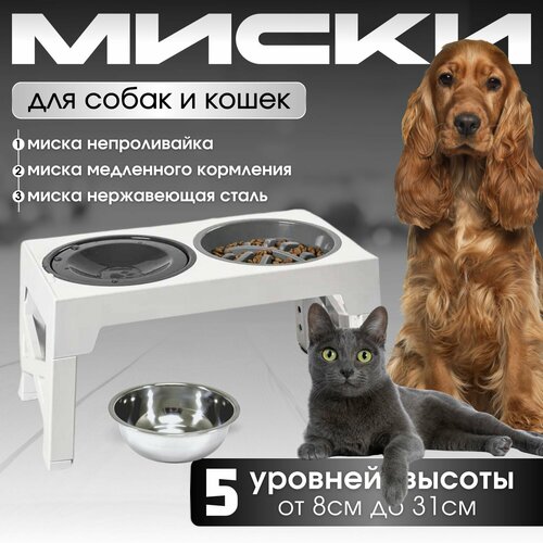 Миска для кошек собак на подставке фотография