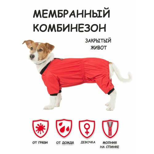 Комбинезон для собак Мартин Dogmoda красный девочка размер 3 фотография