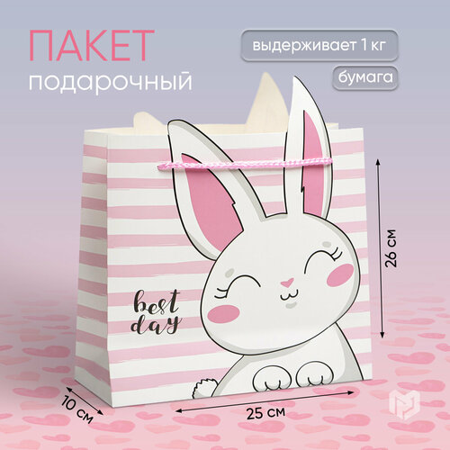 Пакет подарочный «Best day», 25 × 26 × 10 см фотография