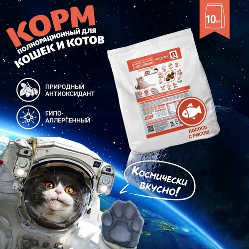 Полнорационный сухой корм для взрослых кошек Зоогурман Hypoallergenic, Лосось с рисом/Salmon & Rice 10 кг фотография