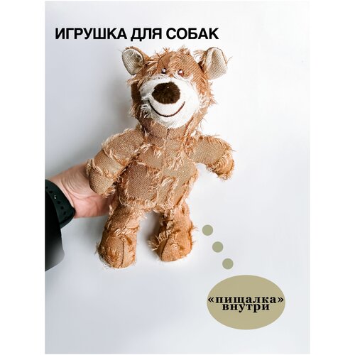 Игрушка медведь, для собак, пищащий, для игр с собакой фотография