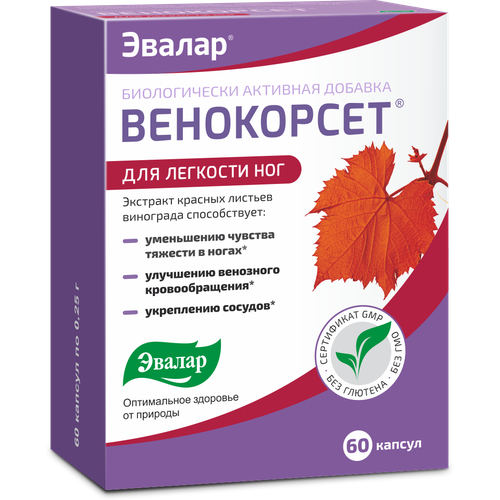 Венокорсет капс., 50 г, 60 шт. фотография