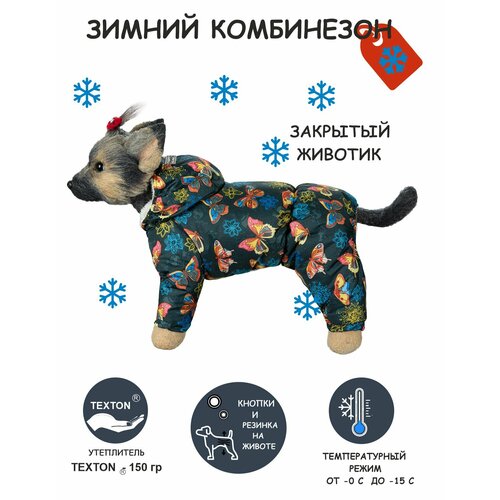 Зимний комбинезон для собак DOGMODA Бабочки девочка размер 4 фотография