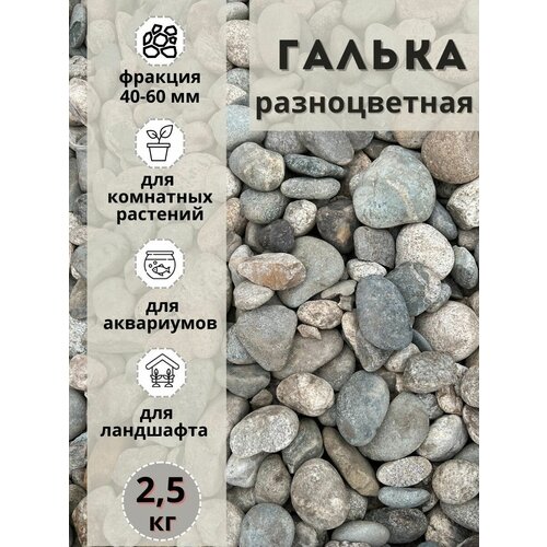 Галька разноцветная(пестрая) 40-60мм (2.5кг) Грунт для аквариума/террариума фотография