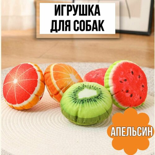 фотография Игрушка пищалка для собак фрукты, апельсин, 1 шт., купить за 350 р