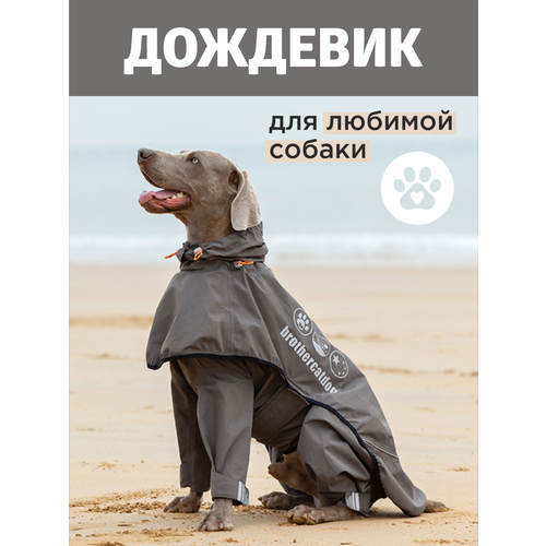 Дождевики для собак - комплект, комбинезон и накидка от бренда Brothers Cat&Dog фотография