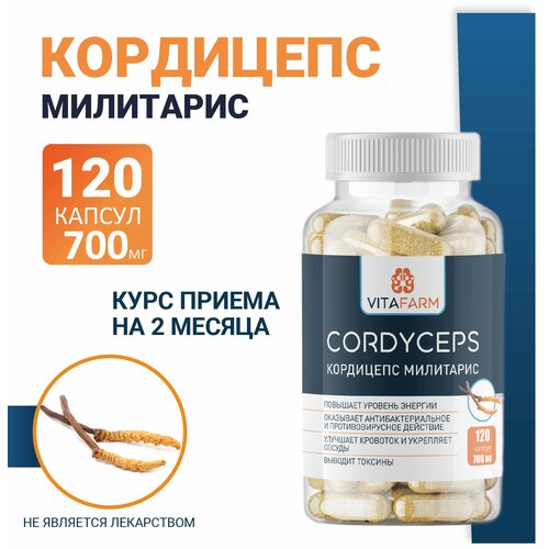 Кордицепс милитарис (Cordyceps militaris) капсулы 120 шт/ 700 мг фотография