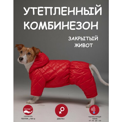 Комбинезон для собак DOGMODA стеганный девочка спина 37 см фотография