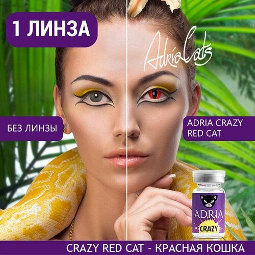 Контактные линзы ADRIA Crazy, 1 шт., R 8,6, D 0, ADD: средняя, red cat, 1 уп. фотография