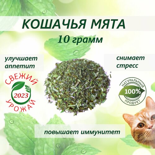 Кошачья мята лакомство для кошек 10 грамм. Котовник сушенный. Для приучения к месту, коррекции поведения, успокоительное. фотография