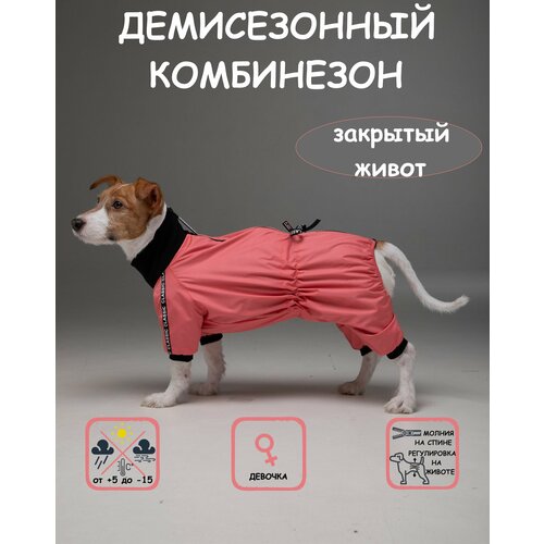 Комбинезон для собак DOGMODA Классик девочка коралл размер 5 фотография