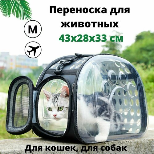 Сумка-переноска для животных/для кошек/для собак 43х28х33 BOBRIKGORA фотография