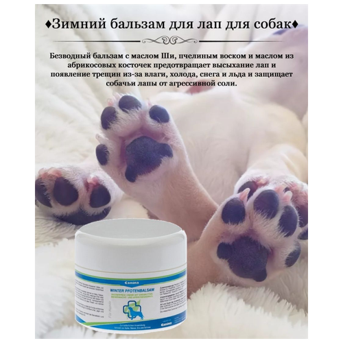 Зимний бальзам для лап Canina WINTER PFOTENBALSAM (100 мл) фотография