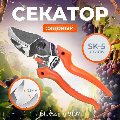 Секатор садовый Blessing 9107 фотография