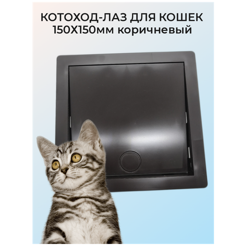 Котоход-лаз для кошек (150х150мм) коричневый фотография