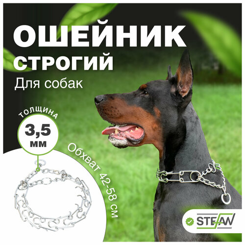 Строгий ошейник для собак ДЮК STEFAN (Штефан), XL, SC3-4060 фотография