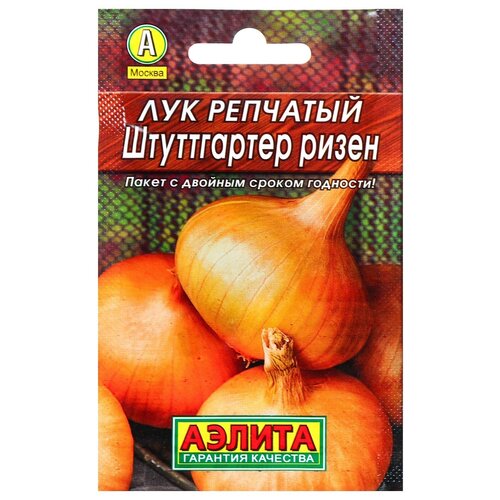 Лук репчатый 