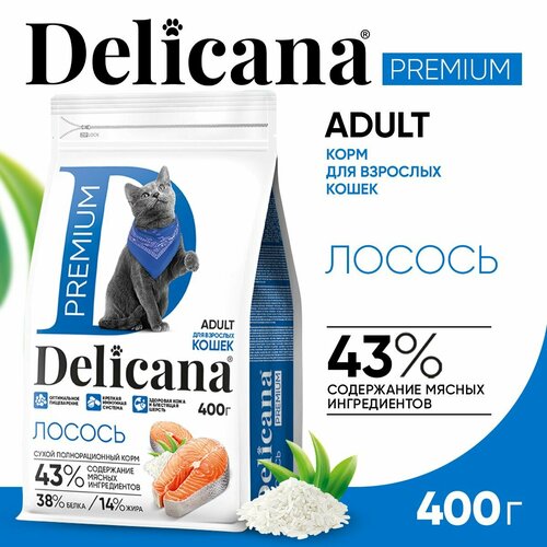 Сухой корм для кошек Delicana с лососем 400 г фотография