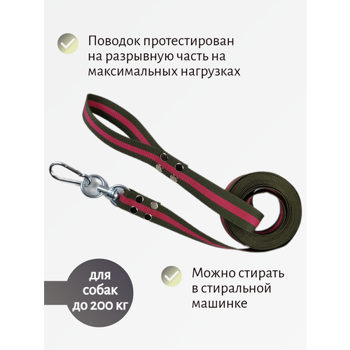 Поводок Хвостатыч для собак крупных пород с вертлюгом и альпинистским карабином нейлон 2 м х 35 мм (Зелено-красный) фотография