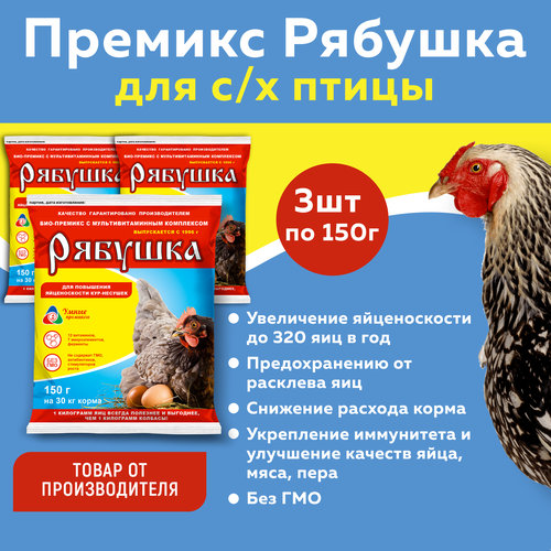 Комплект Премикс Рябушка для кур 0,5% 150г, 3 штуки фотография