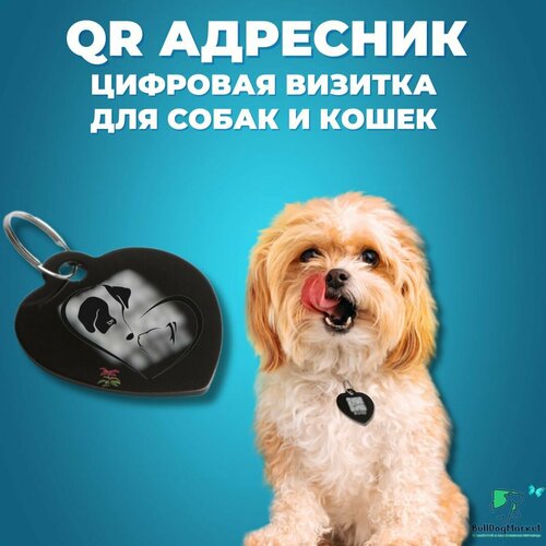 фотография Адресник для собак и кошек с гравировкой QR кода, сердечко, купить за 416 р