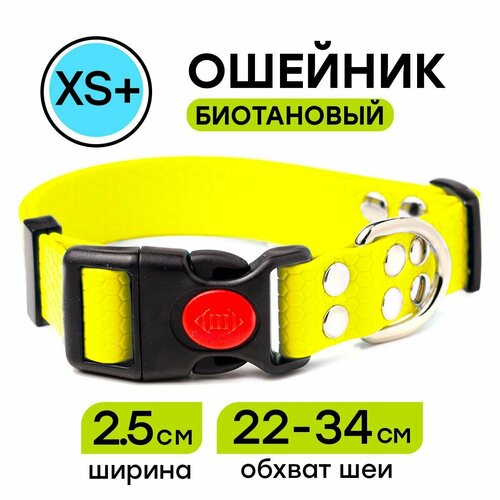 Ошейник из биотана 22-34 см (XS+), 25 мм, Woofy 