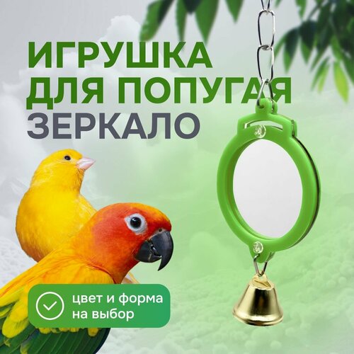 Игрушка для попугаев и птиц - зеркало фотография