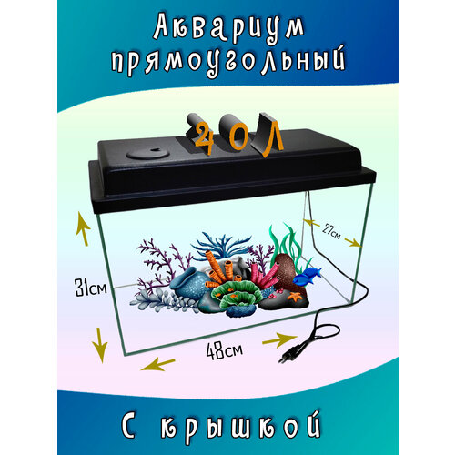 Аквариум прямоугольный с крышкой 40л 48*27*31см фотография