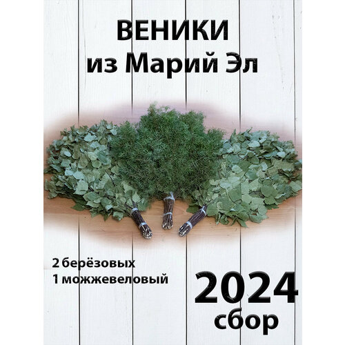 Комплект веников для бани, 2 березовых и можжевеловый из Марий Эл сбор 2024 фотография