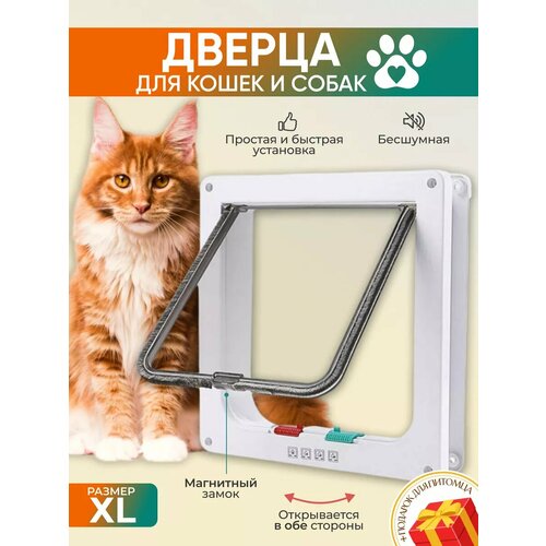 Дверца для животных белая XL (28х25х5.5 см) фотография