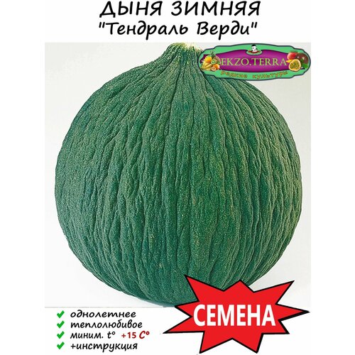 Семена Дыня Зимняя 