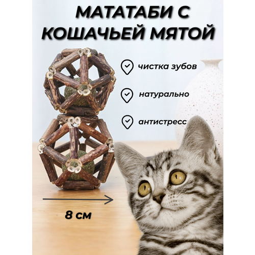 Шарик кошачья мята с мататаби, игрушка антистресс, шарик с мятой и палочками мататаби большой 8 см фотография