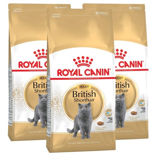 Сухой корм для кошек Royal Canin для британских короткошерстных 3 шт. х 2000 г фотография